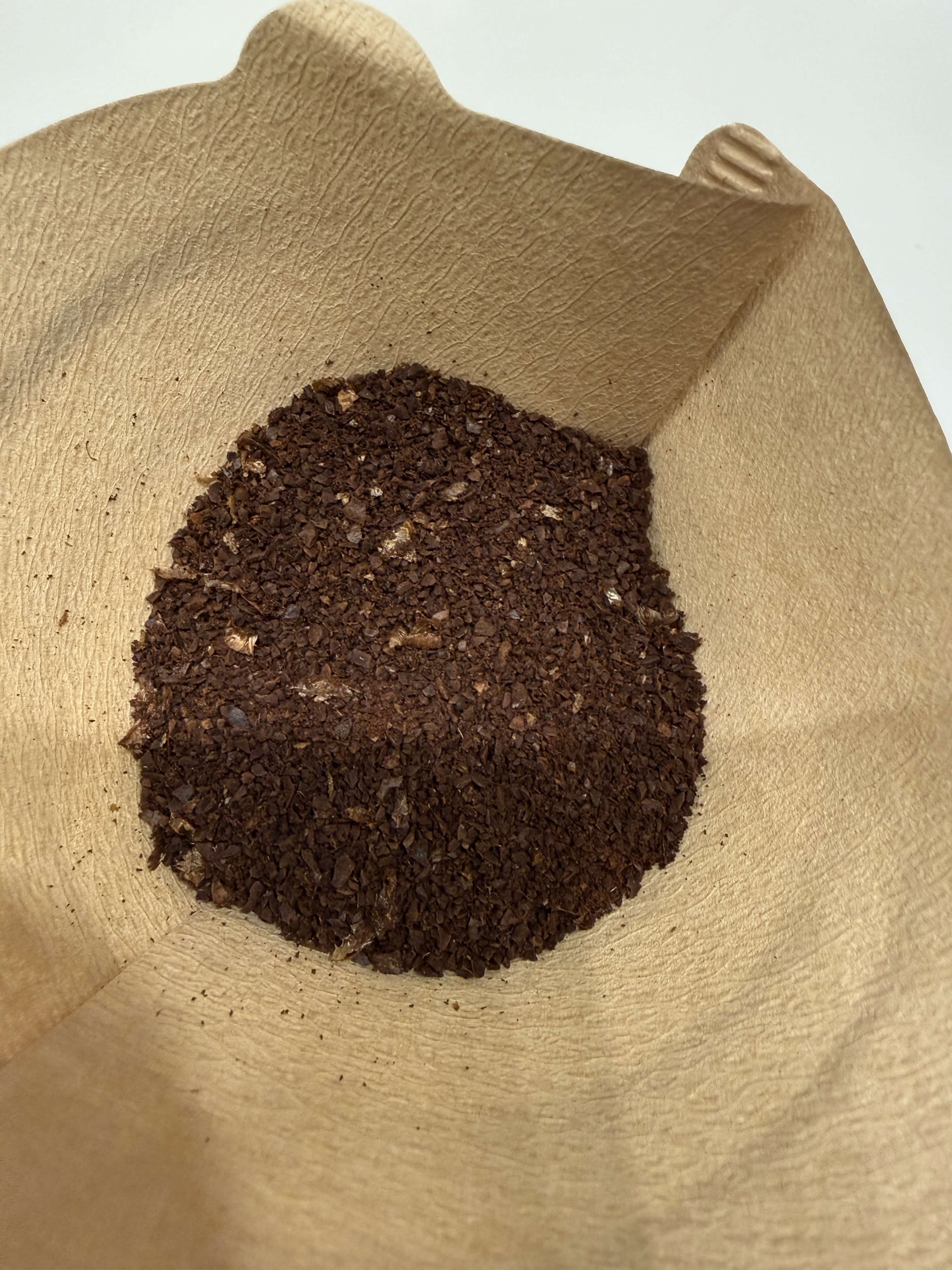 挽いた粉の様子